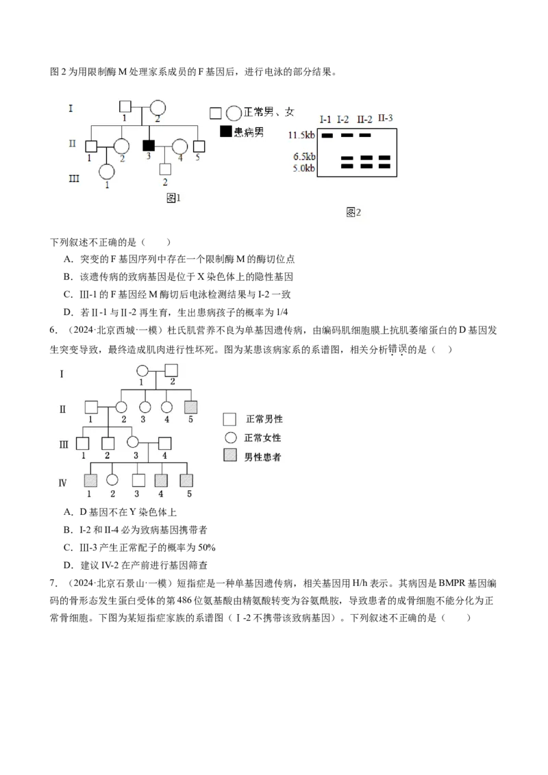 《专题08伴性遗传和人类遗传病（学生版）_北京高考全科_生物_五年（2020-2024）高考生物真题分类汇编（北京专用）》第4页预览