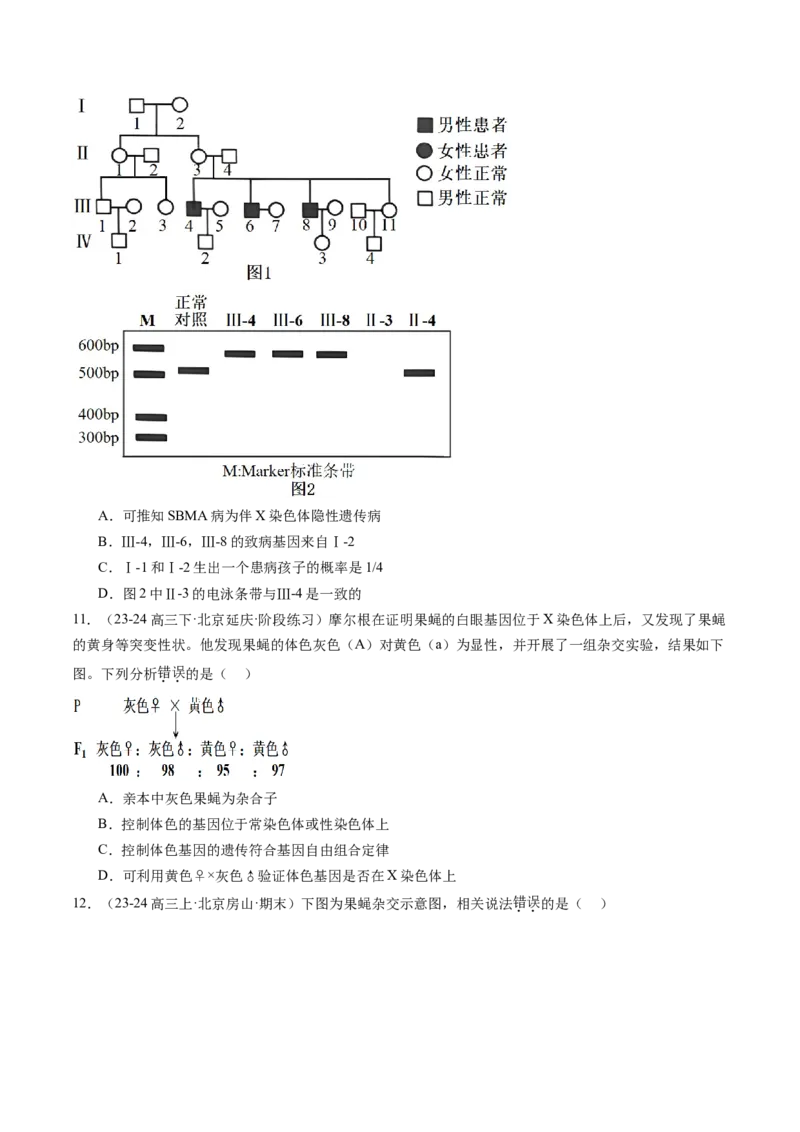 《专题08伴性遗传和人类遗传病（学生版）_北京高考全科_生物_五年（2020-2024）高考生物真题分类汇编（北京专用）》第6页预览