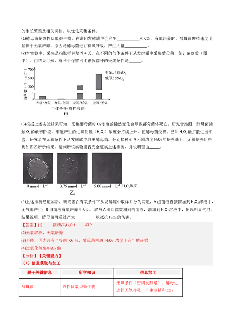 《专题15发酵工程（北京专用）（教师版）_北京高考全科_生物_5年（2021-2025）高考生物真题分类汇编（北京专用）》第3页预览