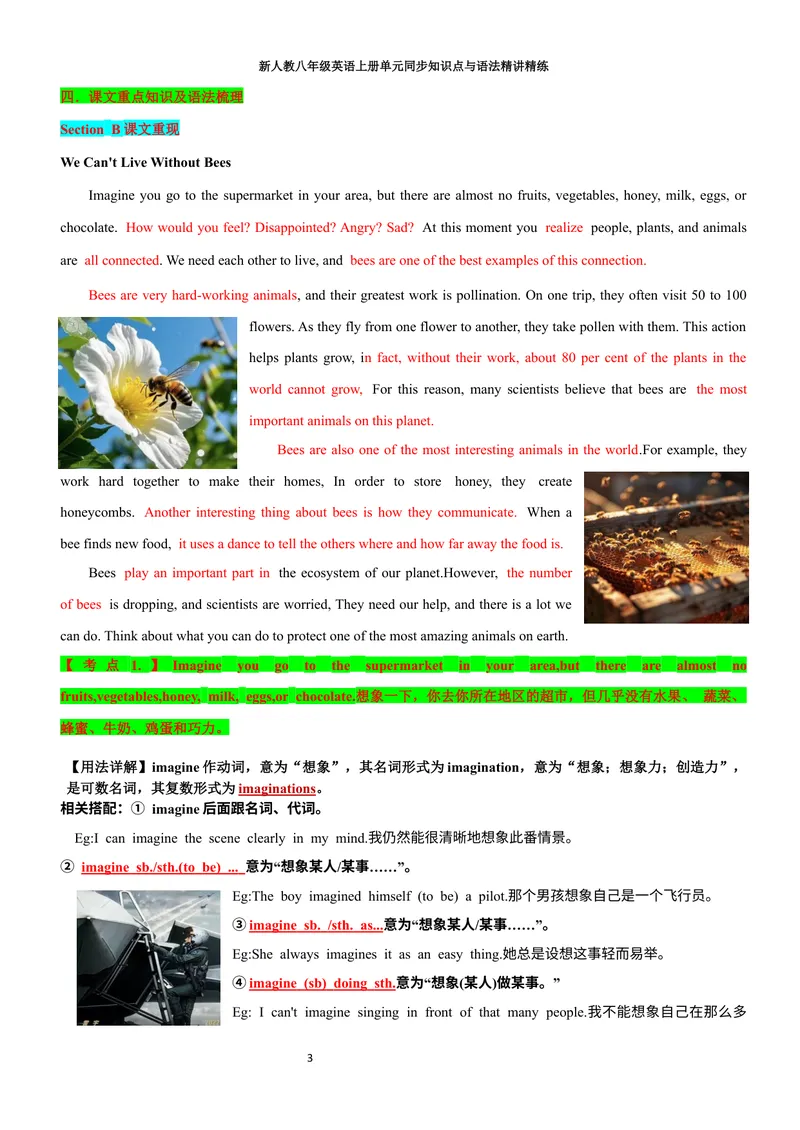 《sectionB(教师版)_初中英语789_最新人教版英语八年级上册_新版_初中英语8上新更新第三套可选择_03讲义_2025秋新人教版八年级英语上册单元同步讲义_unit4AmazingPlantsandAnimals》第3页预览