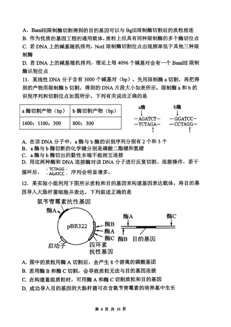 《2026春期普通高中共同体高二半期素质评价生物_2024-2027高二（7-7月题库）_2026年05月高二试卷_260524四川泸州市泸县普通高中共同体2025-2026学年高二下学期素养评价（全）》第4页预览