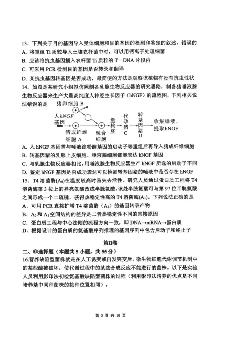 《2026春期普通高中共同体高二半期素质评价生物_2024-2027高二（7-7月题库）_2026年05月高二试卷_260524四川泸州市泸县普通高中共同体2025-2026学年高二下学期素养评价（全）》第5页预览