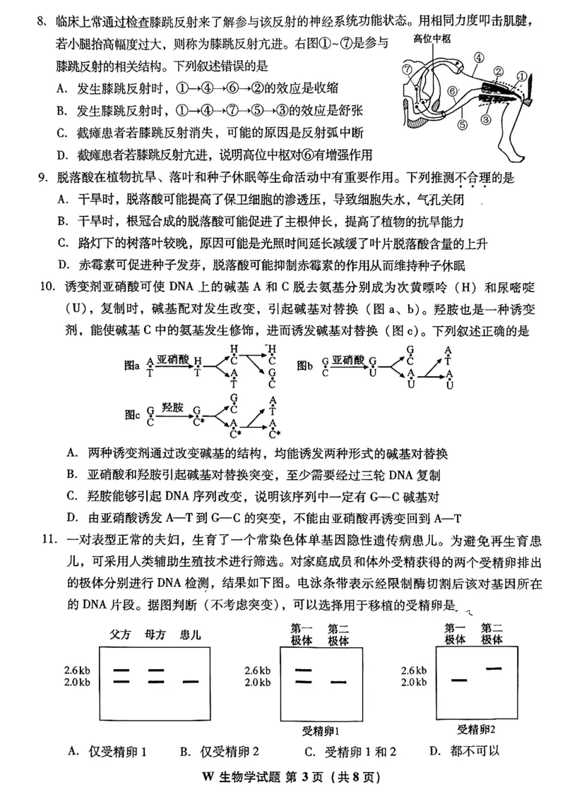 《2026年安徽高考生物试卷(1)_H1912026年各省高考试卷和历年高考试卷_2026高考试卷_2026高考真题_安徽》第3页预览