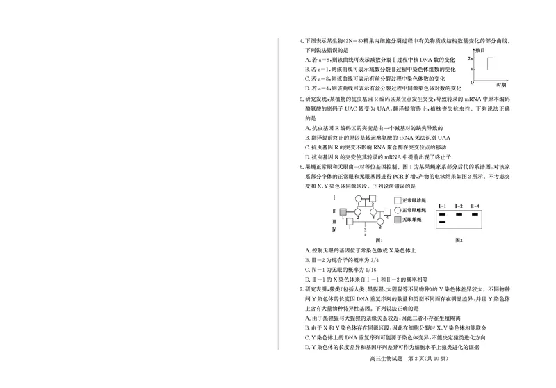 《26德州一模-生物试题_12.2026年4月全国各地高考模拟卷_2026届山东省德州市高三一模考试》第2页预览