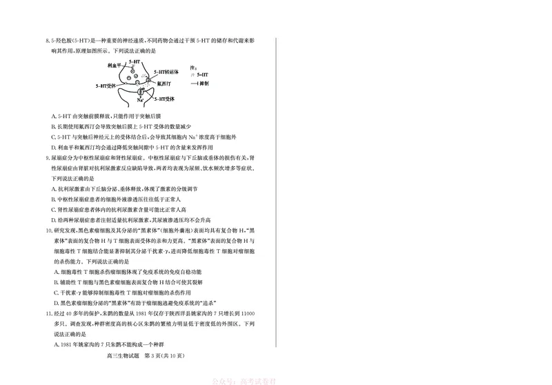 《26德州一模-生物试题_12.2026年4月全国各地高考模拟卷_2026届山东省德州市高三一模考试》第3页预览