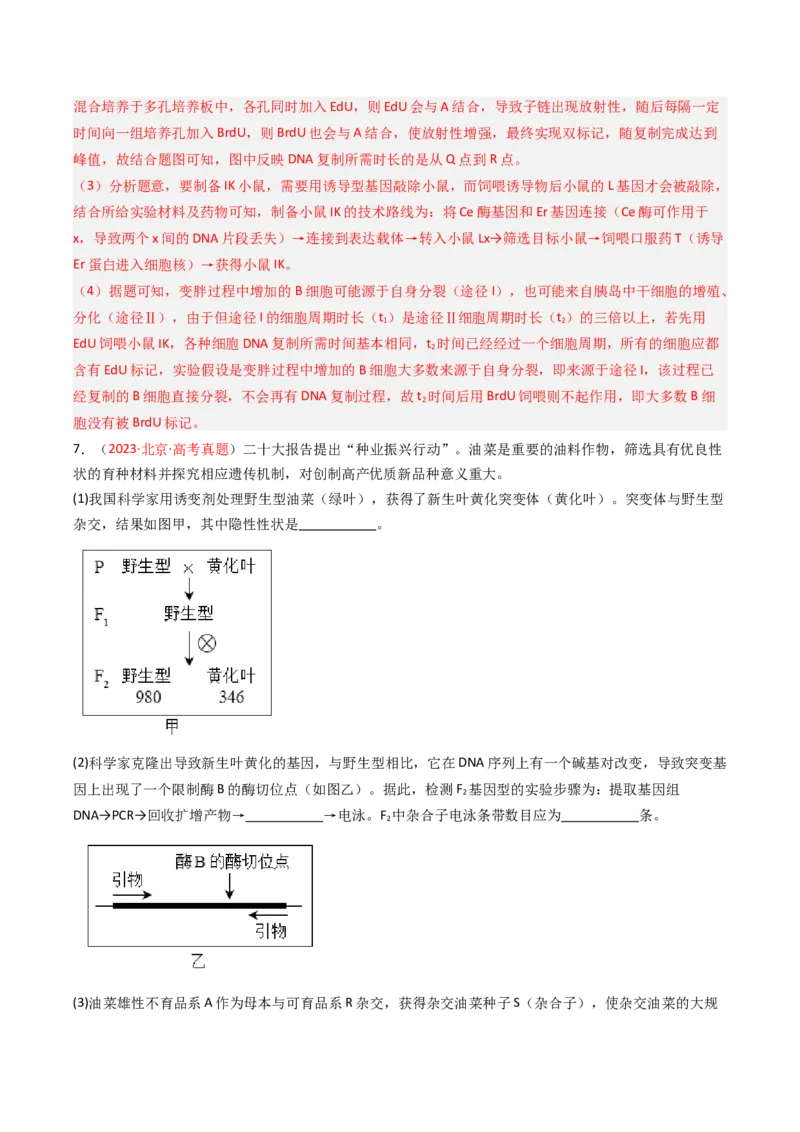 《专题17基因工程（北京专用）（教师版）_北京高考全科_生物_5年（2021-2025）高考生物真题分类汇编（北京专用）》第10页预览