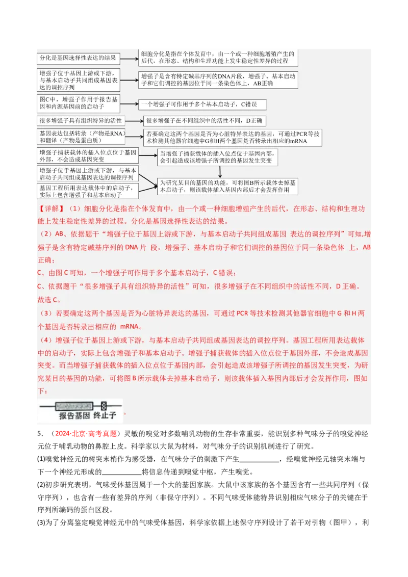 《专题17基因工程（北京专用）（教师版）_北京高考全科_生物_5年（2021-2025）高考生物真题分类汇编（北京专用）》第6页预览