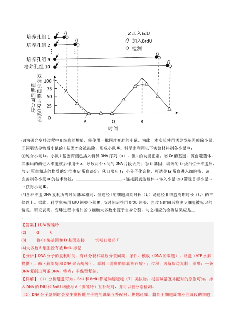 《专题17基因工程（北京专用）（教师版）_北京高考全科_生物_5年（2021-2025）高考生物真题分类汇编（北京专用）》第9页预览
