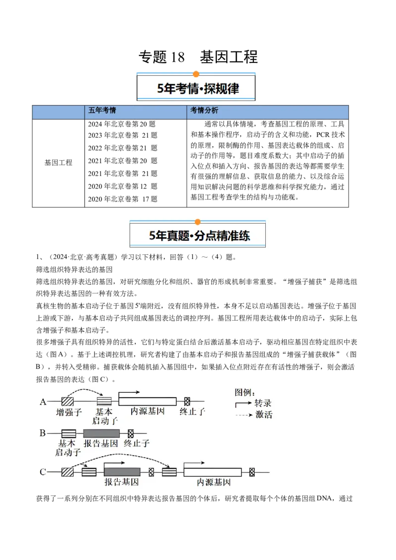 《专题18基因工程（学生版）_北京高考全科_生物_五年（2020-2024）高考生物真题分类汇编（北京专用）》第1页预览