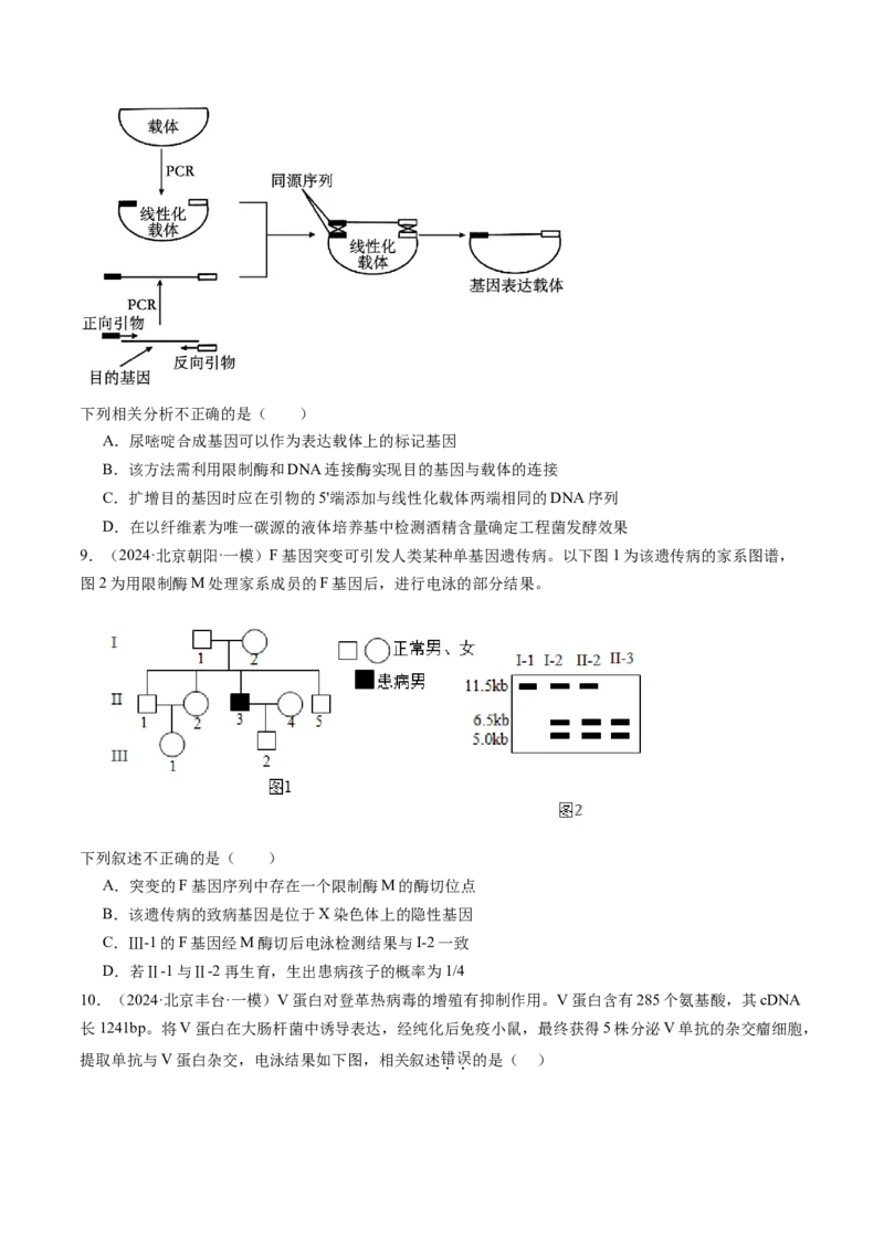 《专题18基因工程（学生版）_北京高考全科_生物_五年（2020-2024）高考生物真题分类汇编（北京专用）》第10页预览