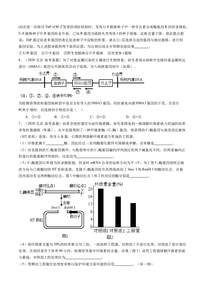 《专题18基因工程（学生版）_北京高考全科_生物_五年（2020-2024）高考生物真题分类汇编（北京专用）》第6页预览