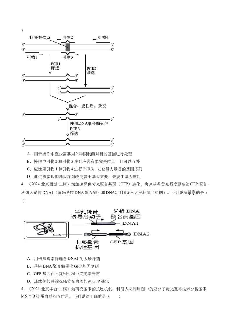 《专题18基因工程（学生版）_北京高考全科_生物_五年（2020-2024）高考生物真题分类汇编（北京专用）》第8页预览