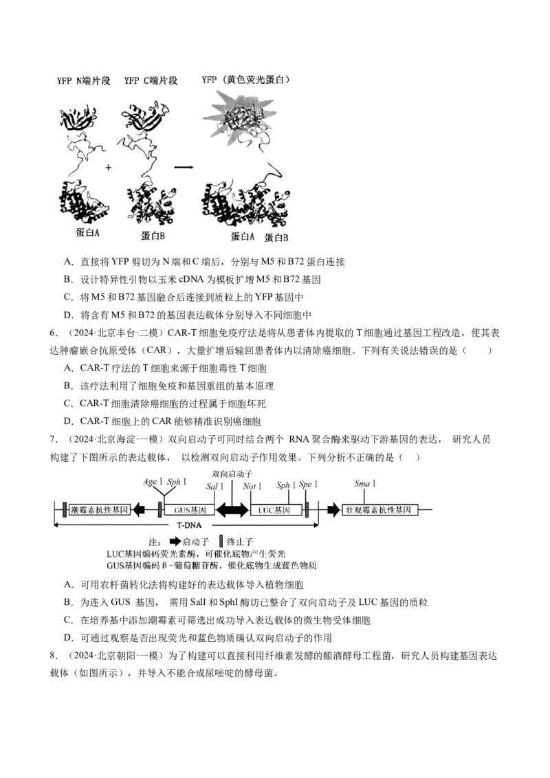 《专题18基因工程（学生版）_北京高考全科_生物_五年（2020-2024）高考生物真题分类汇编（北京专用）》第9页预览