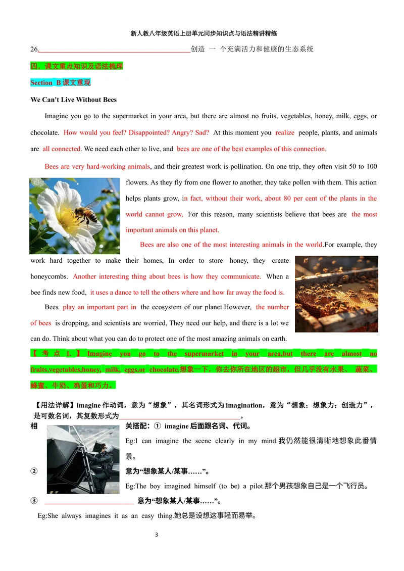 《sectionB(学生版)_初中英语789_最新人教版英语八年级上册_新版_初中英语8上新更新第三套可选择_03讲义_2025秋新人教版八年级英语上册单元同步讲义_unit4AmazingPlantsandAnimals》第3页预览