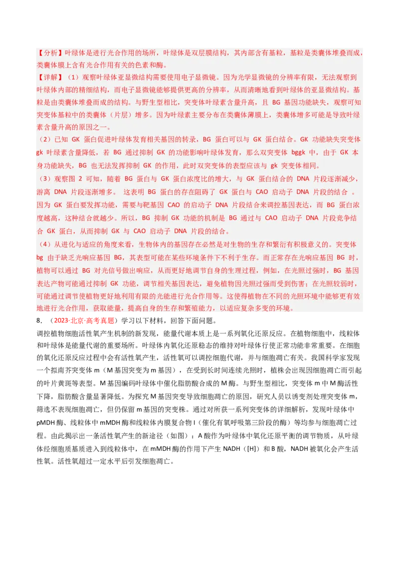 《专题03细胞呼吸和光合作用（北京专用）（教师版）_北京高考全科_生物_5年（2021-2025）高考生物真题分类汇编（北京专用）》第10页预览