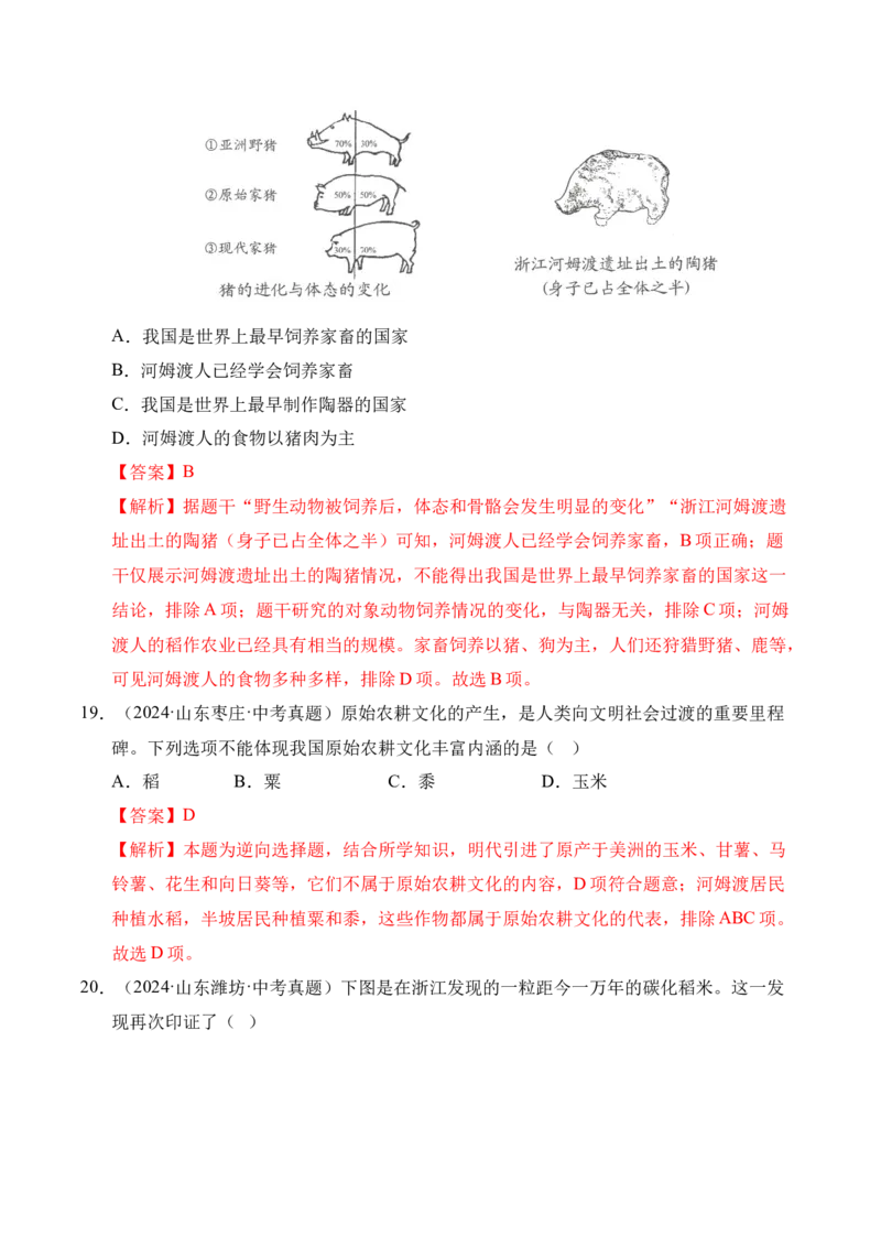 《专题01中国境内早期人类与文明的起源·选择题（全国通用）（教师版）_2026年中考真题分类汇编9科_三年（2023-2025）中考历史真题分类汇编（全国通用）-C432》第9页预览