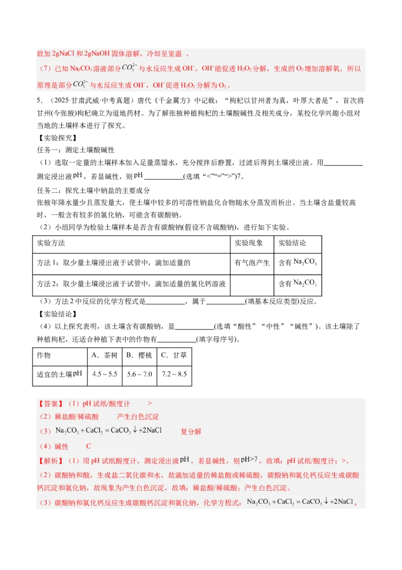 《专题22实验探究题（教师版）_2026年中考真题分类汇编9科_三年（2023-2025）中考化学真题分类汇编（全国通用）-C432》第7页预览