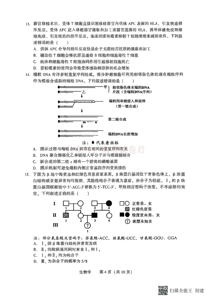 《2026年辽宁省沈阳市高三下学期教学质量监测（二）生物_副本(1)_12.2026年4月全国各地高考模拟卷_2026年4月_2026届辽宁省沈阳市高三下学期教学质量监测（二）全科》第4页预览