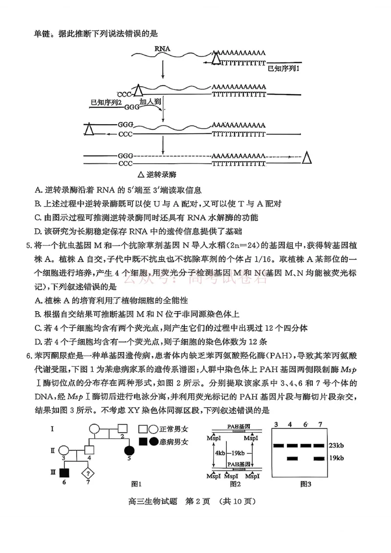 《山东济南市2026届高三第二次模拟考试生物试题_12.2026年4月全国各地高考模拟卷_2026年4月_山东济南二模2026年山东省济南市高三第二次模拟考试全科》第2页预览