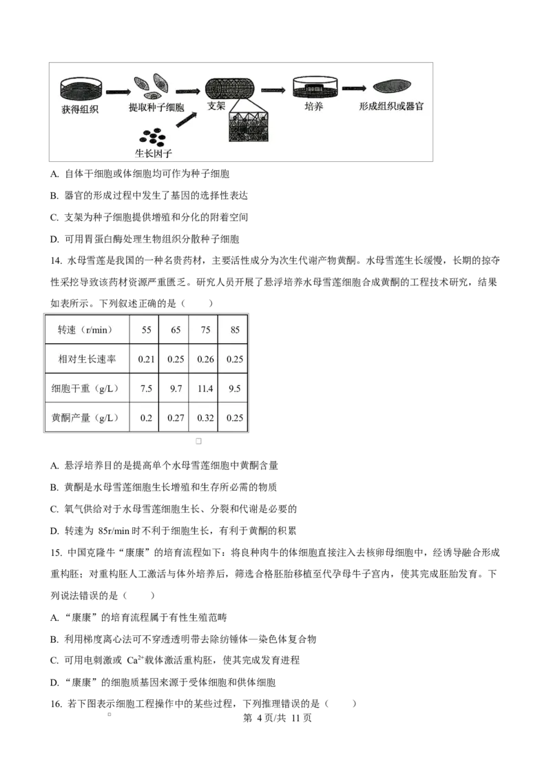 《四川成都外国语学校2025-2026学年下学期期中考试高二生物Word版无答案_2024-2027高二（7-7月题库）_2026年06月高二试卷_260609四川成都外国语学校2025-2026学年高二下学期期中考试》第4页预览