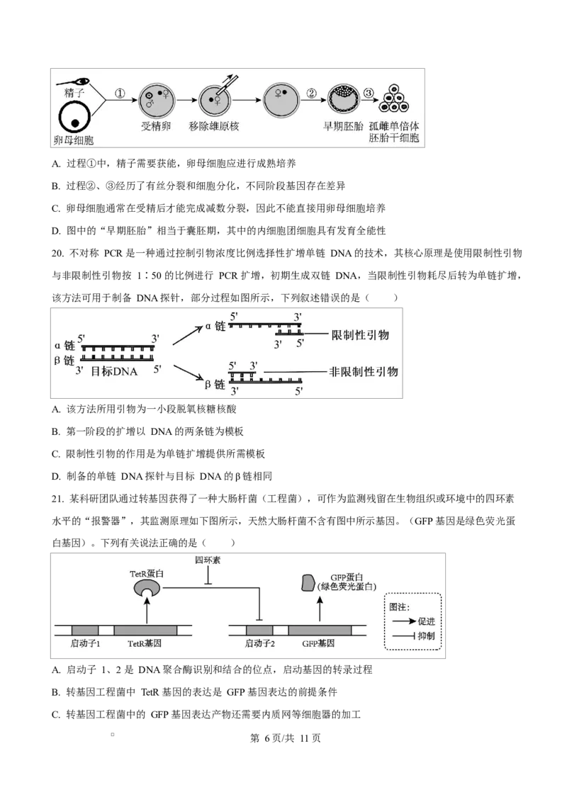 《四川成都外国语学校2025-2026学年下学期期中考试高二生物Word版无答案_2024-2027高二（7-7月题库）_2026年06月高二试卷_260609四川成都外国语学校2025-2026学年高二下学期期中考试》第6页预览