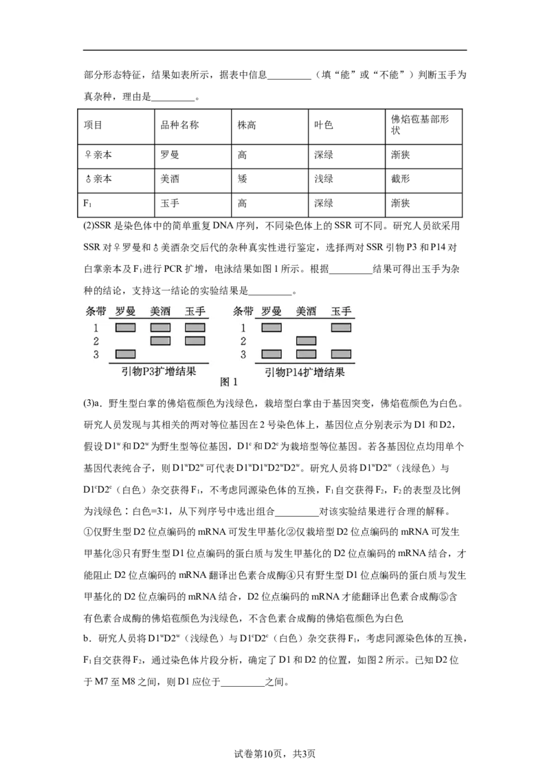 《山西运城市2026年高考考前适应性测试高三生物学试题_2024-2027高三（6-6月题库）_2026年05月高三试卷_260519山西省运城市2026年高三高考考前适应性测试》第10页预览