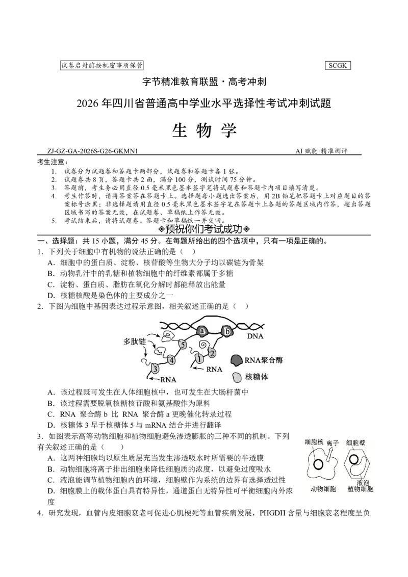 《四川省字节精准教育联盟2026届高三下学期考前学情自测（三模）生物试卷(扫描版含答案)_2024-2027高三（6-6月题库）_2026年05月高三试卷》第1页预览