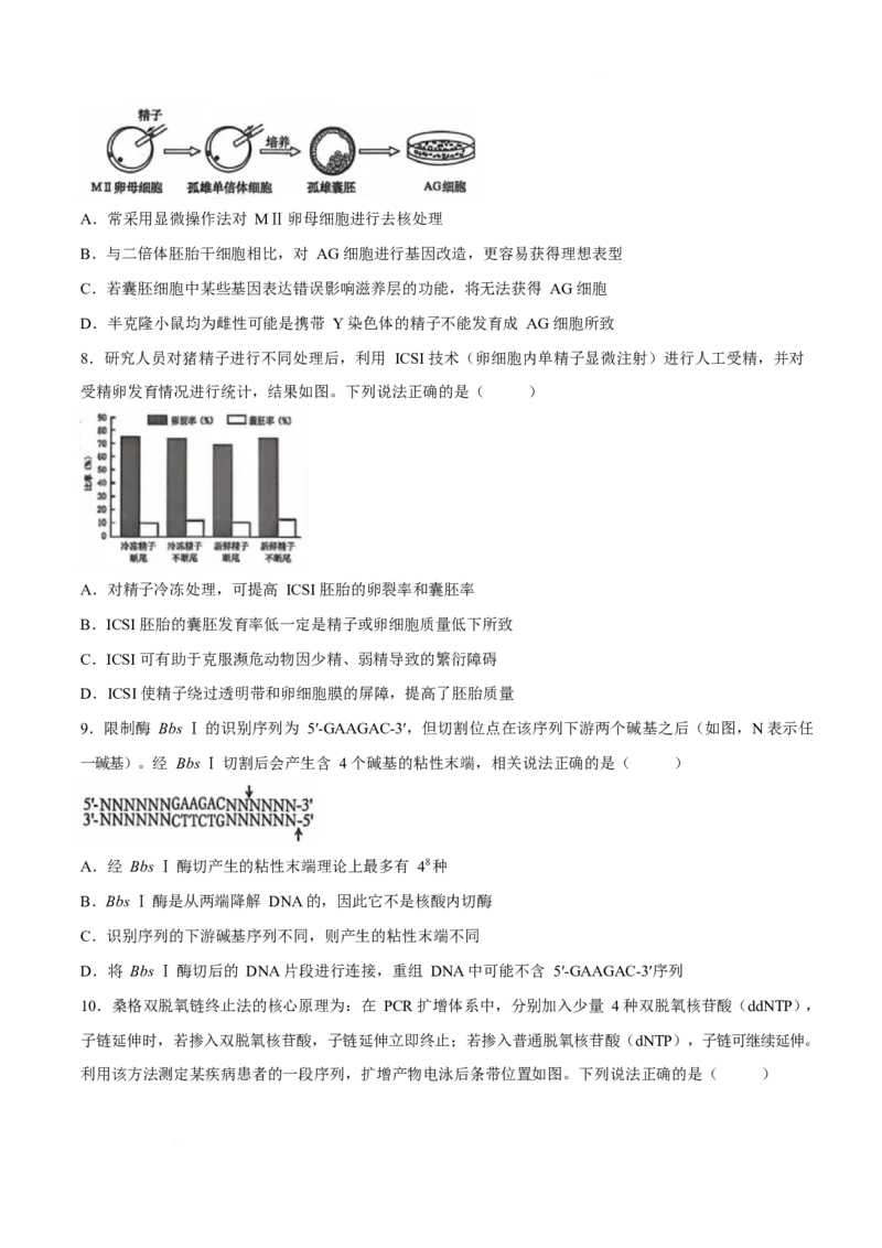 《山东省潍坊市2025-2026学年高二下学期期中质量监测生物试卷_2024-2027高二（7-7月题库）_2026年06月高二试卷_260606山东省潍坊市2025-2026学年高二下学期5月期中质量监测试题》第3页预览