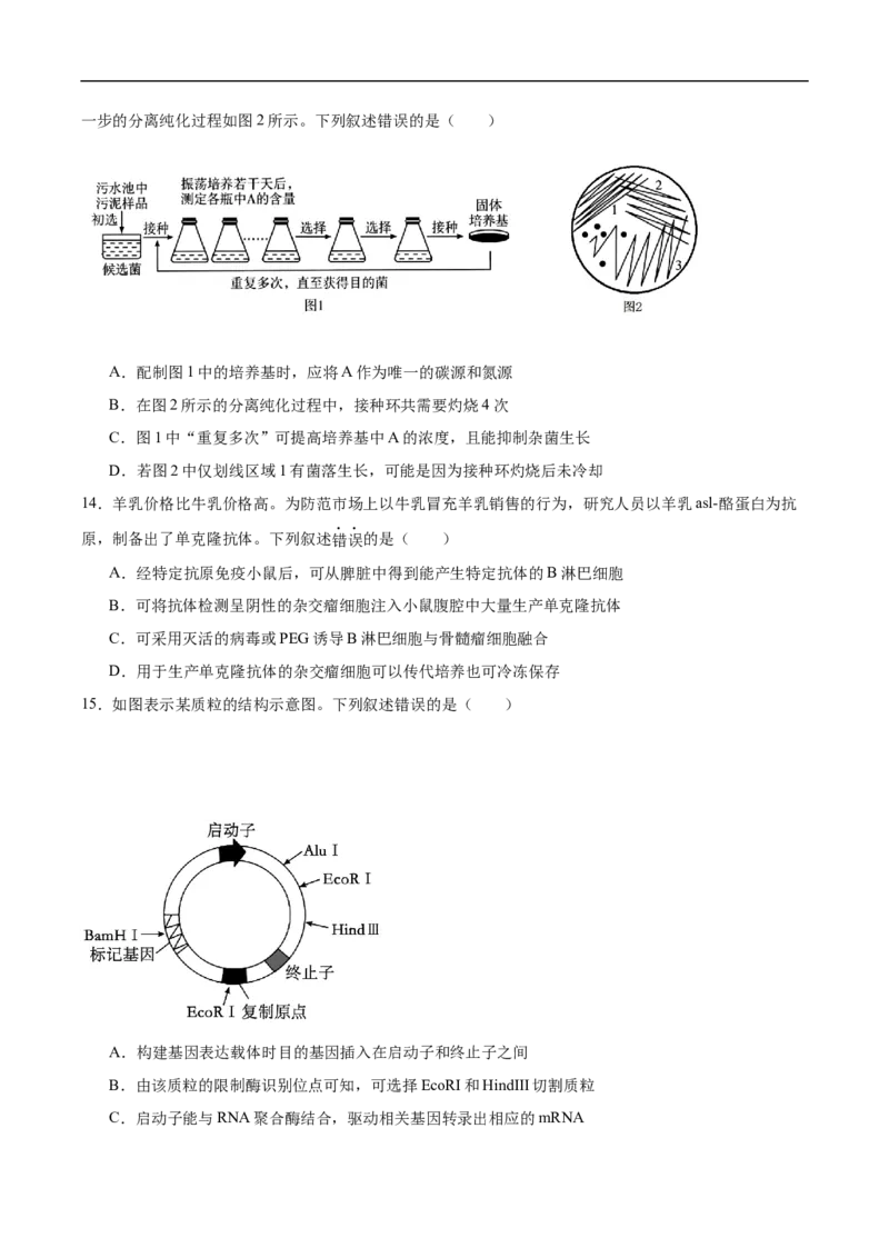 《山西省太原市第五中学校2025-2026学年高二下学期中期质量评估生物试卷（含答案）_2024-2027高二（7-7月题库）_2026年06月高二试卷》第5页预览