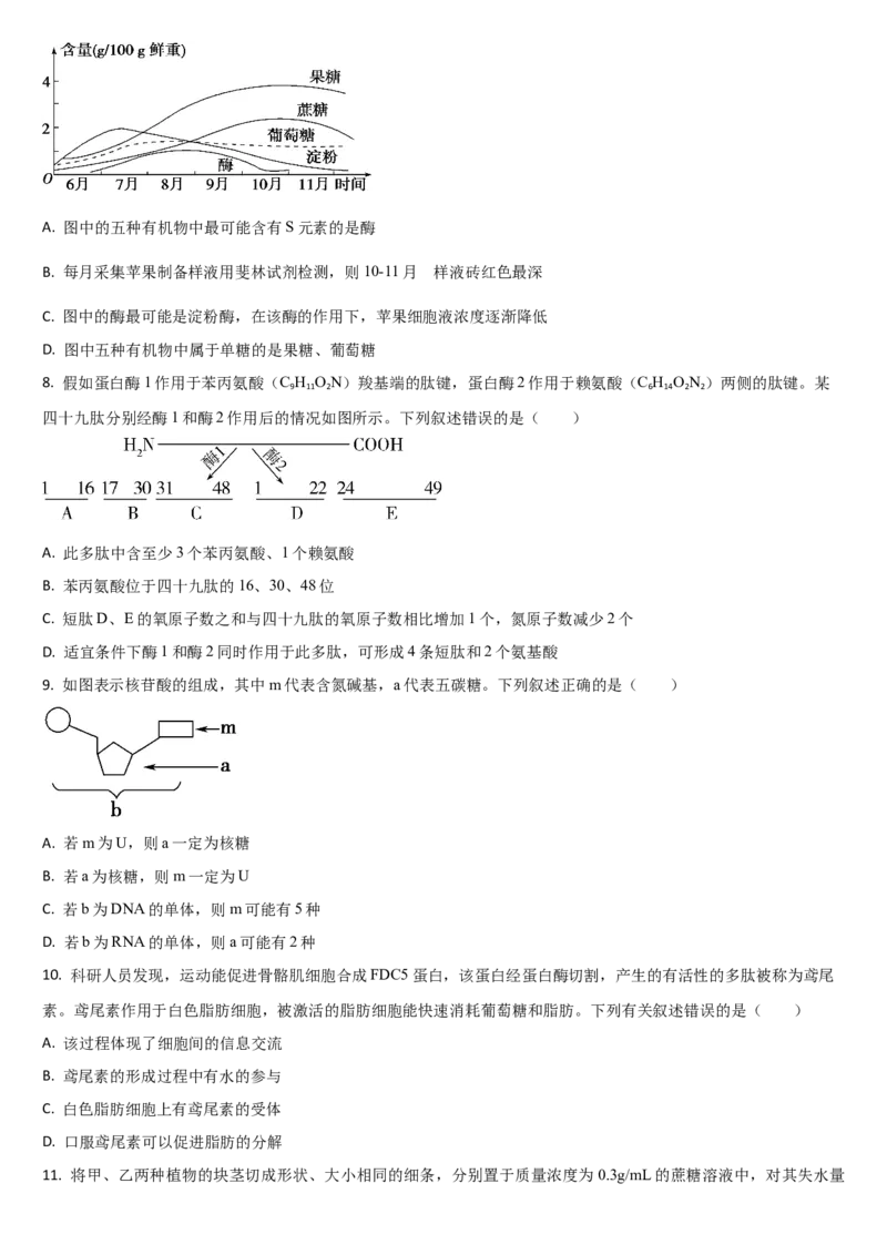 《吉林省通化市梅河口市第五中学2025-2026学年高一上学期12月月考生物试题（含答案）_2026年高一《月考+期中考+阶段性检测真题合集》全国各省全科无水印》第2页预览
