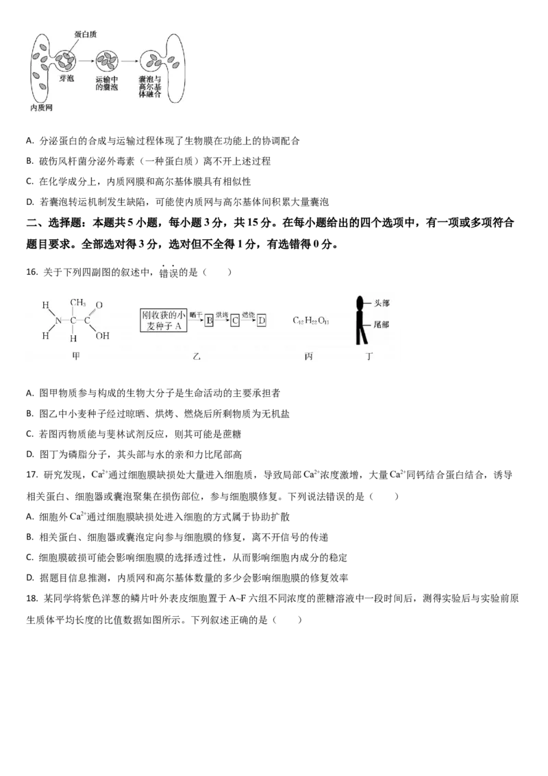 《吉林省通化市梅河口市第五中学2025-2026学年高一上学期12月月考生物试题（含答案）_2026年高一《月考+期中考+阶段性检测真题合集》全国各省全科无水印》第4页预览