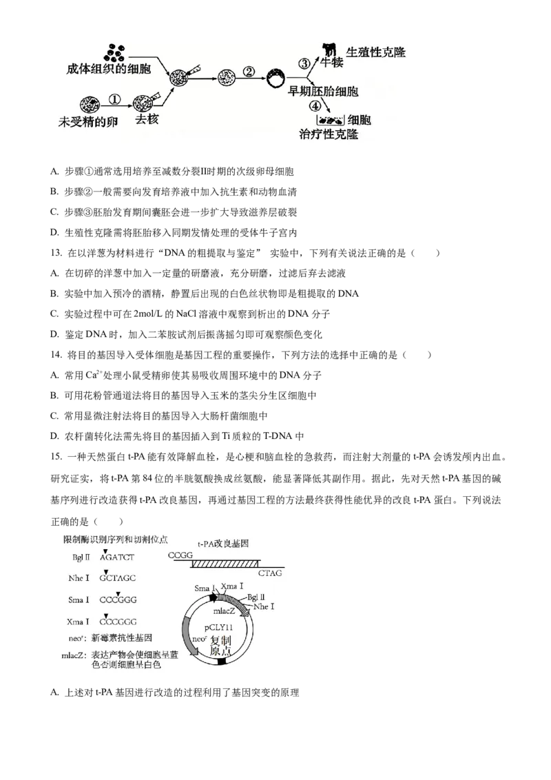 《安徽省宿州市皖北十三校2025-2026学年度第二学期期中教学质量检测高二生物学试题Word版无答案_2024-2027高二（7-7月题库）_2026年05月高二试卷》第4页预览