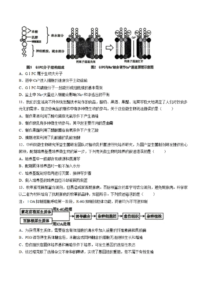 《山西省晋城市部分学校2025-2026学年高二下学期6月月考生物试卷（图片版，含答案）_2024-2027高二（7-7月题库）_2026年06月高二试卷》第3页预览