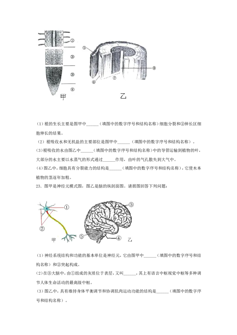 《辽宁省沈阳市2019年中考生物真题及答案_12.2026年4月全国各地高考模拟卷_2026版初中金考卷•45套中考试卷汇编系列合集_全国版中考真题(1)_辽宁各地中考_辽宁生物（24）_沈阳生物2017-22》第4页预览