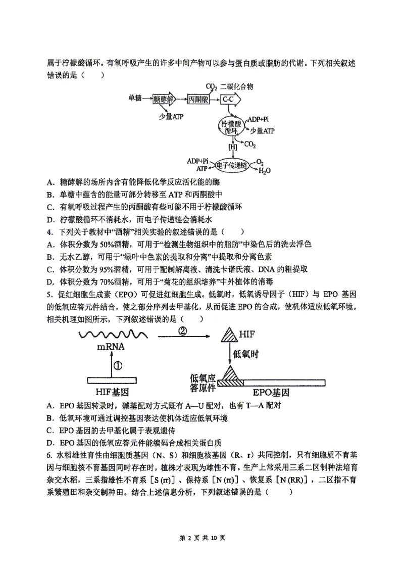 《合肥一中生物学试题_2024-2027高三（6-6月题库）_2026年05月高三试卷_260525安徽省合肥市第一中学2026届高三最后一卷（全科）》第2页预览