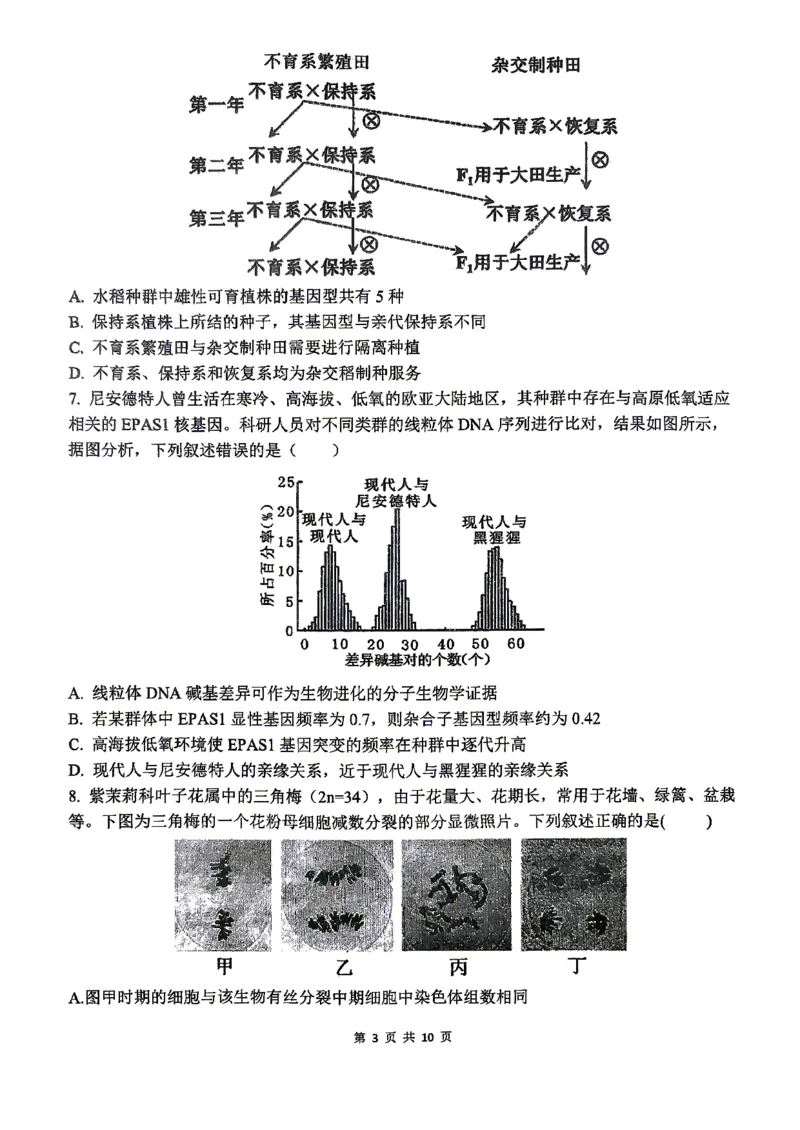 《合肥一中生物学试题_2024-2027高三（6-6月题库）_2026年05月高三试卷_260525安徽省合肥市第一中学2026届高三最后一卷（全科）》第3页预览