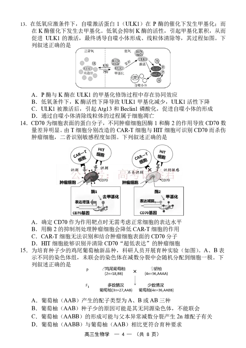 《福州市2026届高中毕业班4月适应性练习生物_副本_12.2026年4月全国各地高考模拟卷_2026年4月_2026届福建省福州市高三4月适应性练习全科_06生物_福建省福州市高三4月适应性练习》第4页预览