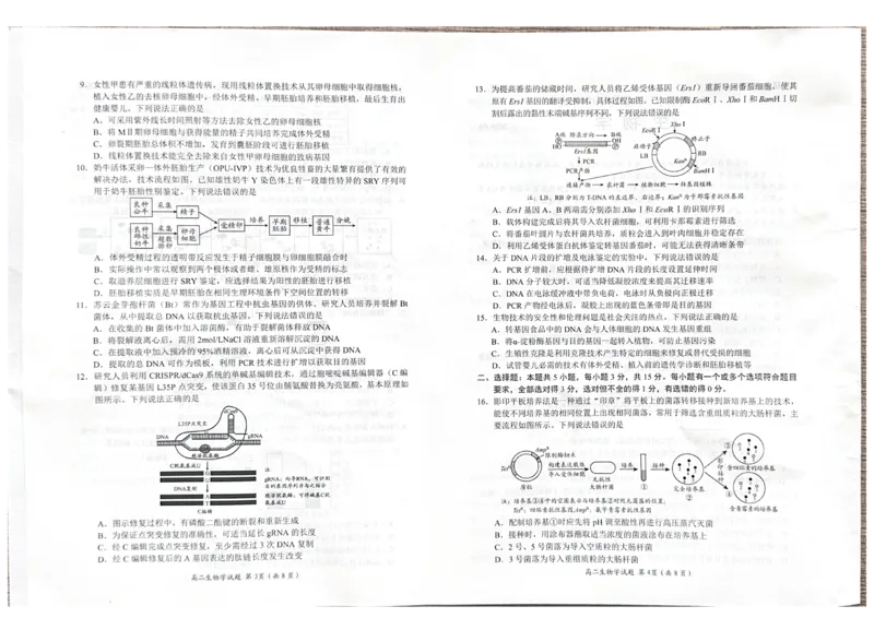 《山东省日照市2025-2026学年高二下学期期中生物试题_2024-2027高二（7-7月题库）_2026年05月高二试卷_260528山东省日照市2025-2026学年高二下学期期中考试》第2页预览