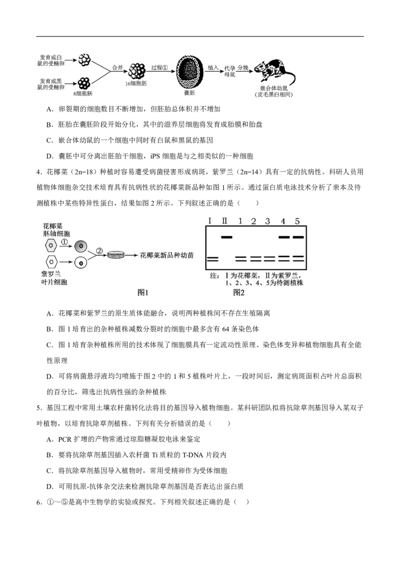 《内蒙古自治区巴彦淖尔市第一中学2025-2026学年高二下学期5月期中考试生物试卷（图片版，含答案）_2024-2027高二（7-7月题库）_2026年06月高二试卷》第2页预览