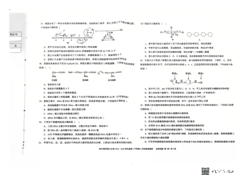 《哈九中六月高二下生物_2024-2027高二（7-7月题库）_2026年06月高二试卷_260619黑龙江哈尔滨市第九中学校2025-2026学年高二下学期6月月考》第3页预览