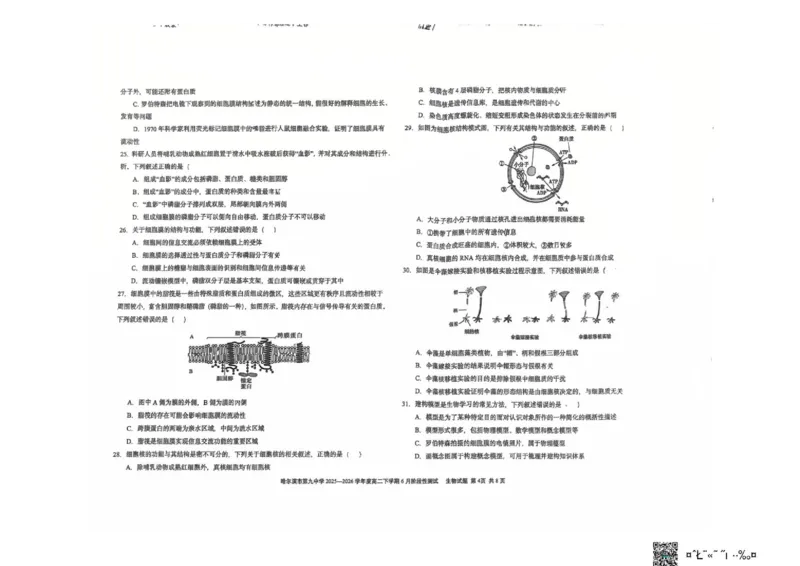 《哈九中六月高二下生物_2024-2027高二（7-7月题库）_2026年06月高二试卷_260619黑龙江哈尔滨市第九中学校2025-2026学年高二下学期6月月考》第4页预览