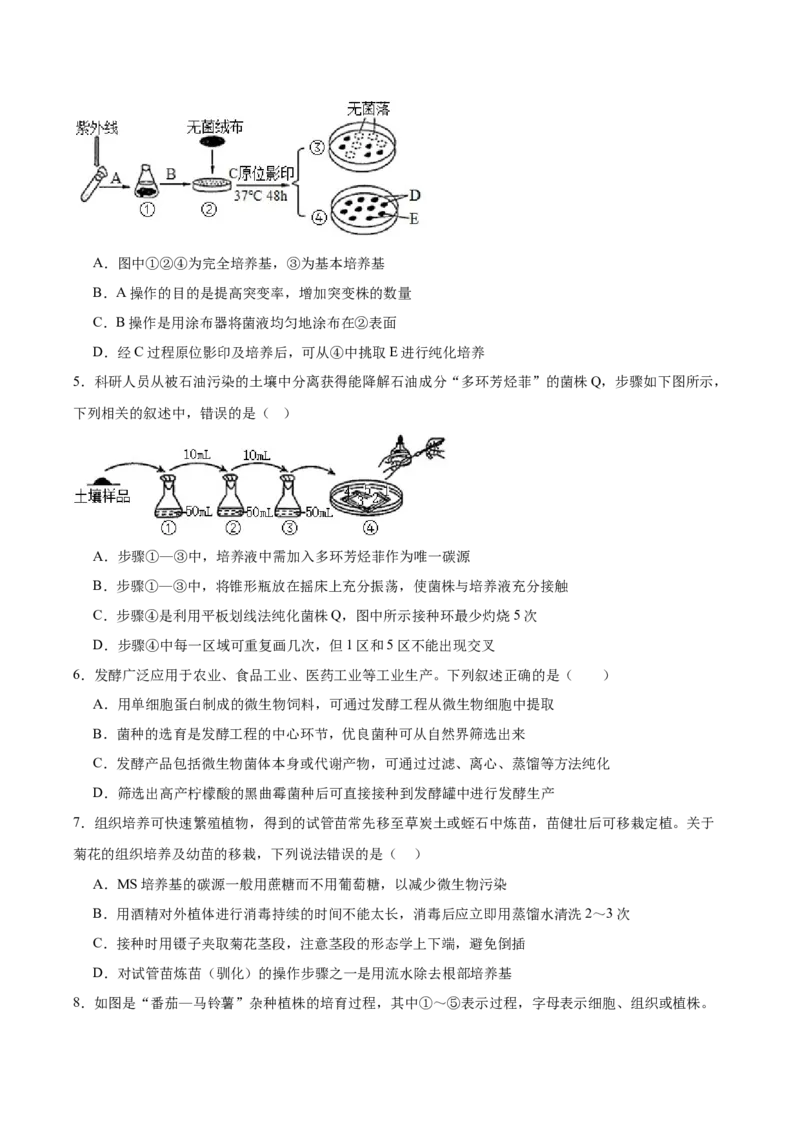 《四川省内江市第一中学2025-2026学年高二下学期期中考试生物试卷(有答案)_2024-2027高二（7-7月题库）_2026年05月高二试卷_260527四川省内江市第一中学2025-2026学年高二下学期期中考试》第2页预览