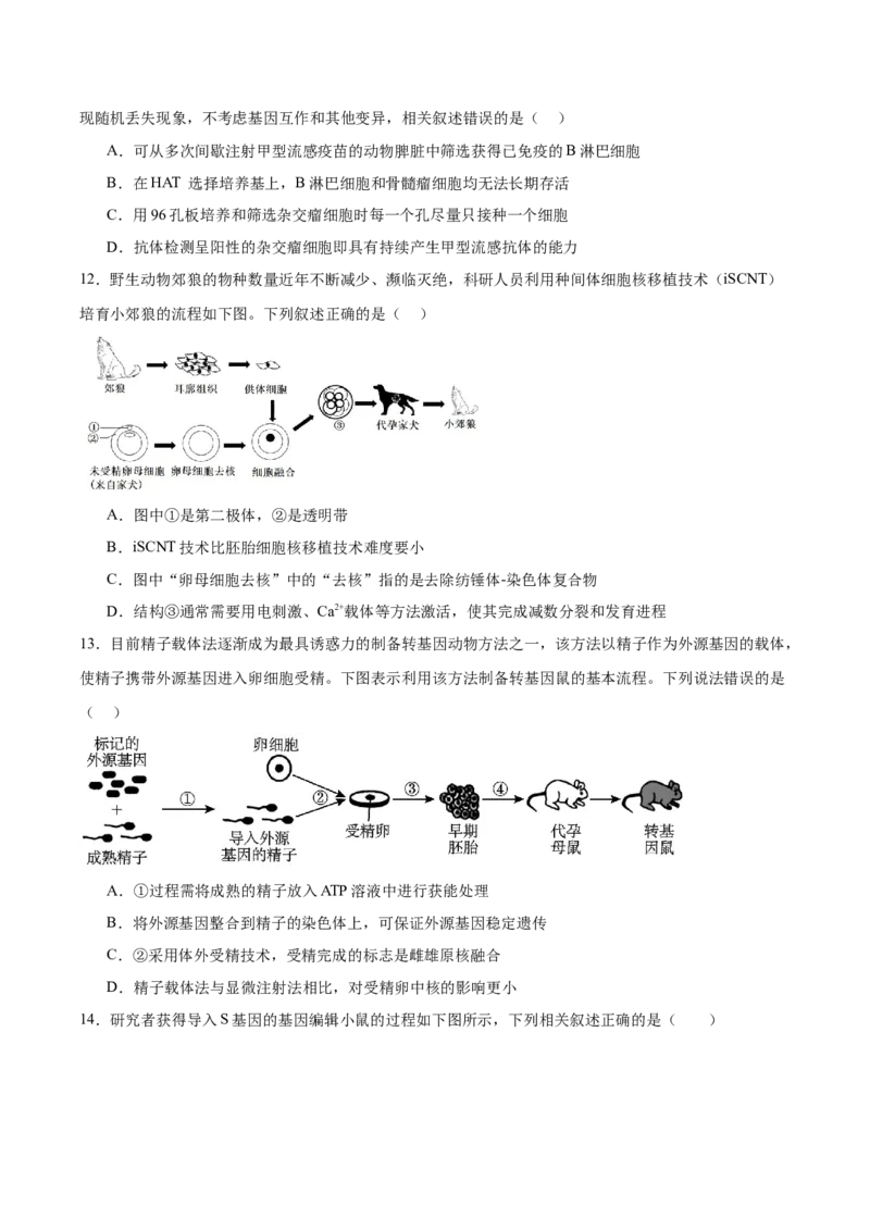 《四川省内江市第一中学2025-2026学年高二下学期期中考试生物试卷(有答案)_2024-2027高二（7-7月题库）_2026年05月高二试卷_260527四川省内江市第一中学2025-2026学年高二下学期期中考试》第4页预览