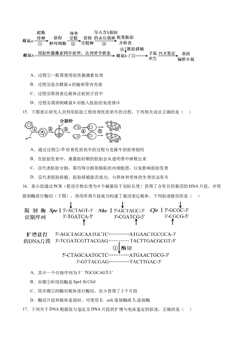 《四川省内江市第一中学2025-2026学年高二下学期期中考试生物试卷(有答案)_2024-2027高二（7-7月题库）_2026年05月高二试卷_260527四川省内江市第一中学2025-2026学年高二下学期期中考试》第5页预览