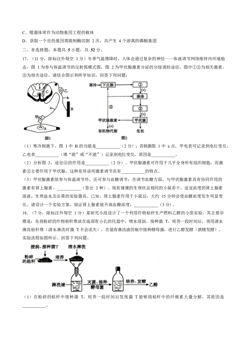 《山西省晋城市部分学校2025-2026学年高二下学期期中考试生物Word版含答案_2024-2027高二（7-7月题库）_2026年06月高二试卷_260601山西省晋城市部分学校2025-2026学年高二下学期期中考试（全）》第5页预览