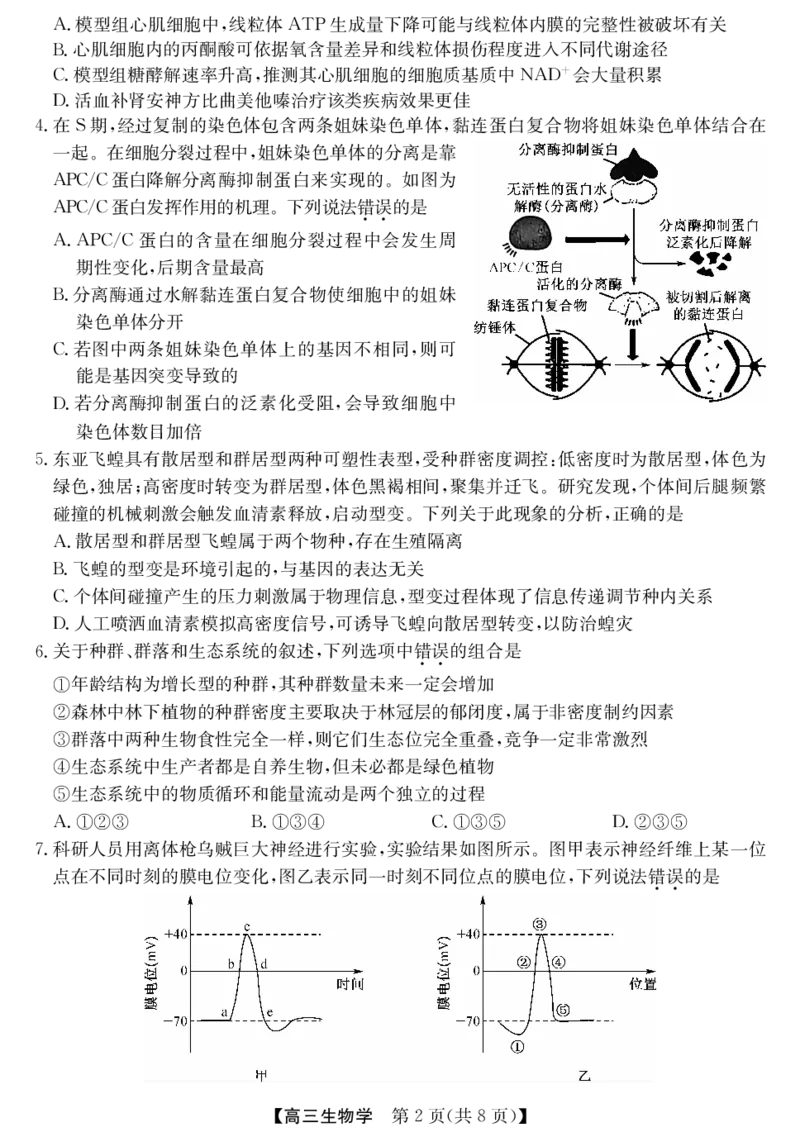 《安徽省县中联盟&皖北五校2026届高三5月检测（26-X-617C）生物_2024-2027高三（6-6月题库）_2026年05月高三试卷_260513安徽省县中联盟&皖北五校2026届高三5月检测（26-X-617C）（全科）》第2页预览