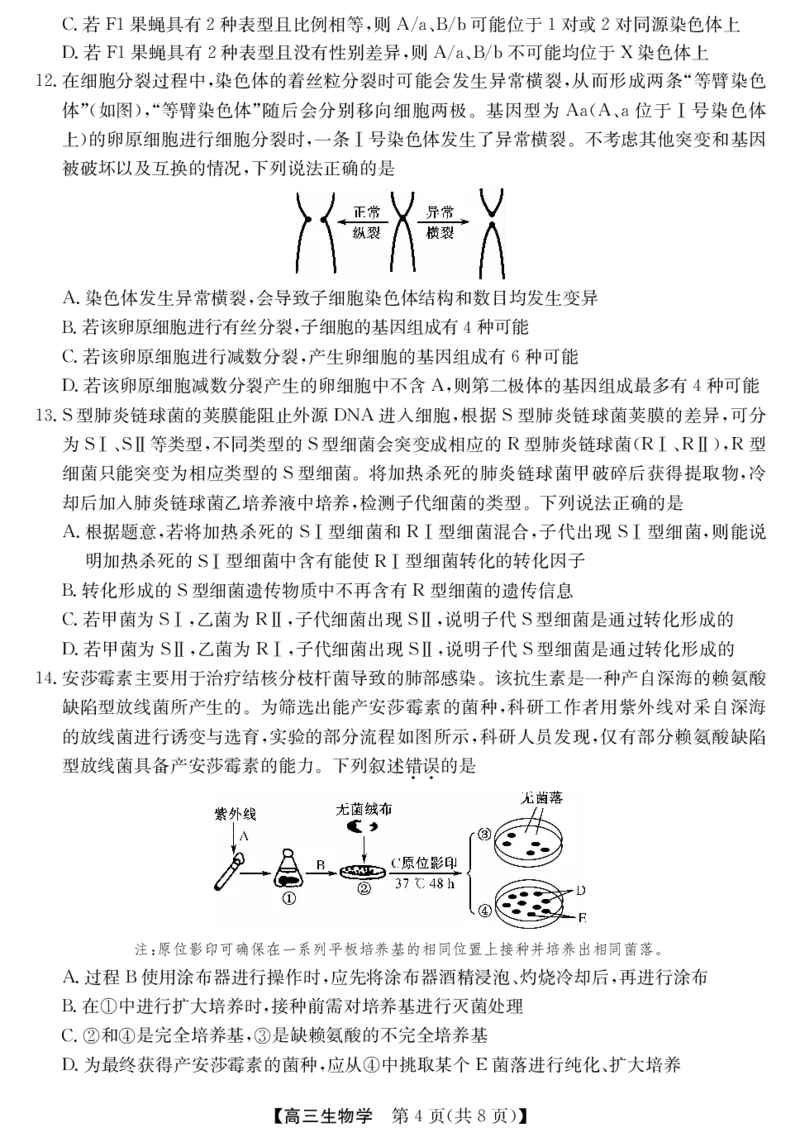 《安徽省县中联盟&皖北五校2026届高三5月检测（26-X-617C）生物_2024-2027高三（6-6月题库）_2026年05月高三试卷_260513安徽省县中联盟&皖北五校2026届高三5月检测（26-X-617C）（全科）》第4页预览