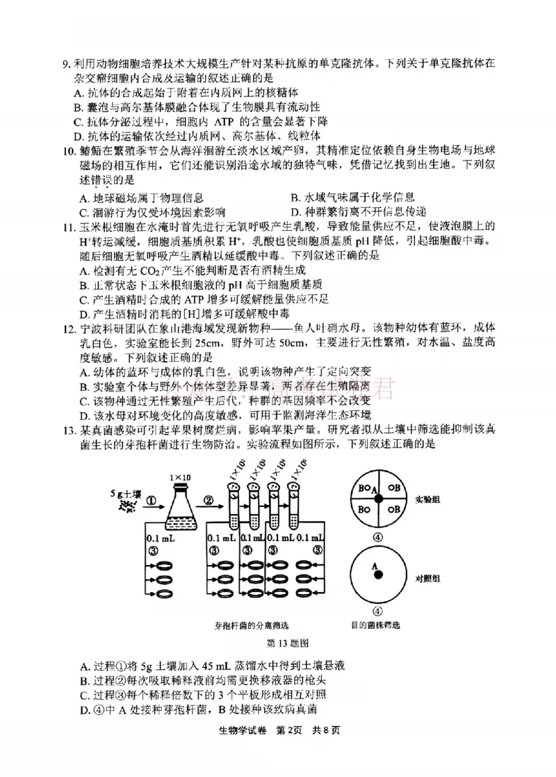 《宁波市2025学年第二学期高考模拟考试生物_副本_12.2026年4月全国各地高考模拟卷_2026年4月_2026届浙江省宁波市高三下学期高考模拟考试全科》第2页预览