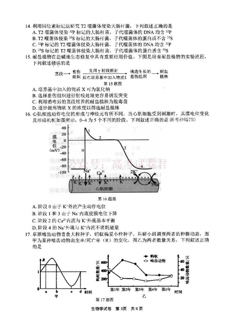 《宁波市2025学年第二学期高考模拟考试生物_副本_12.2026年4月全国各地高考模拟卷_2026年4月_2026届浙江省宁波市高三下学期高考模拟考试全科》第3页预览