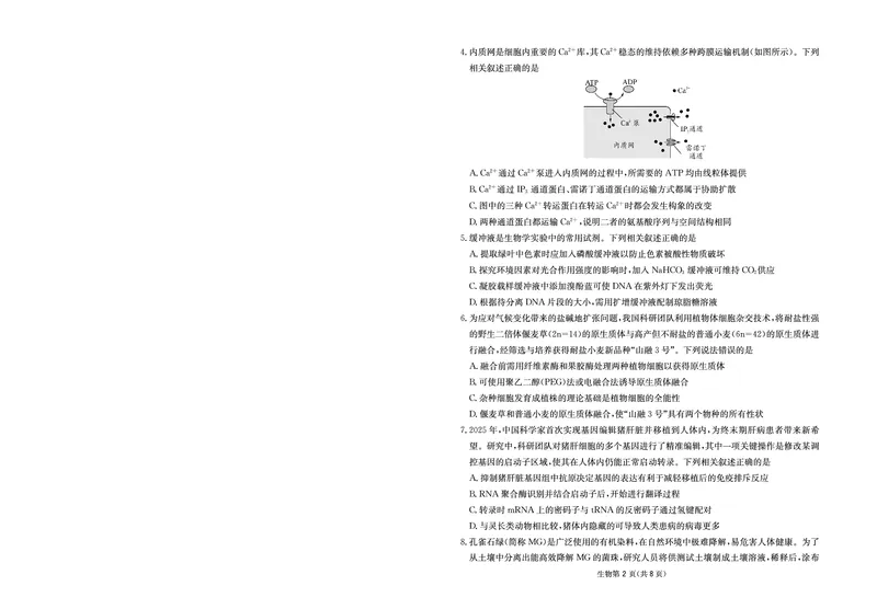 《大数据智学领航2026年高考适应训练生物_2024-2027高三（6-6月题库）_2026年05月高三试卷_260521四川省大数据智学领航2026年5月高考适应训练（全科）》第2页预览